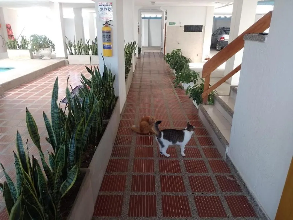 Apartamento A 5 Minutos De La Playa Bello Horizonte, Santa Marta Апартаменты Санта-Марта